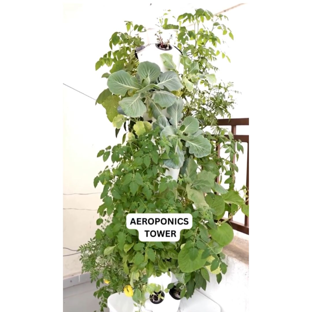 Customer photo testimonial 5